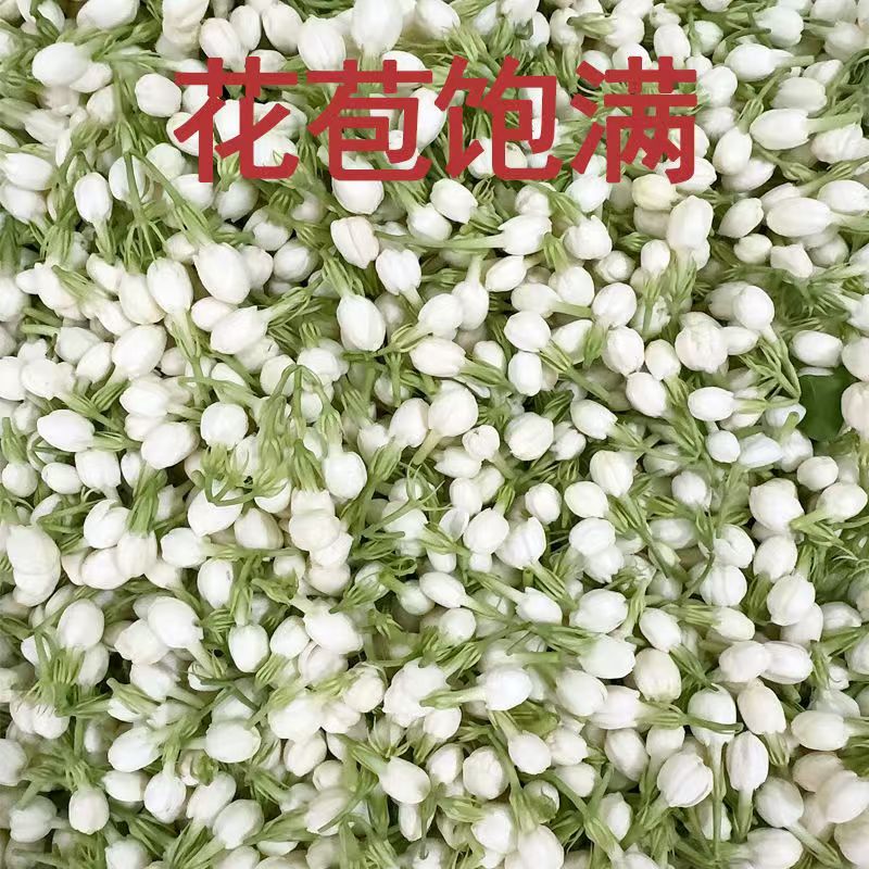 New Natural 100g Jasmine Dried - Soap Making Raw Material 评论和价格