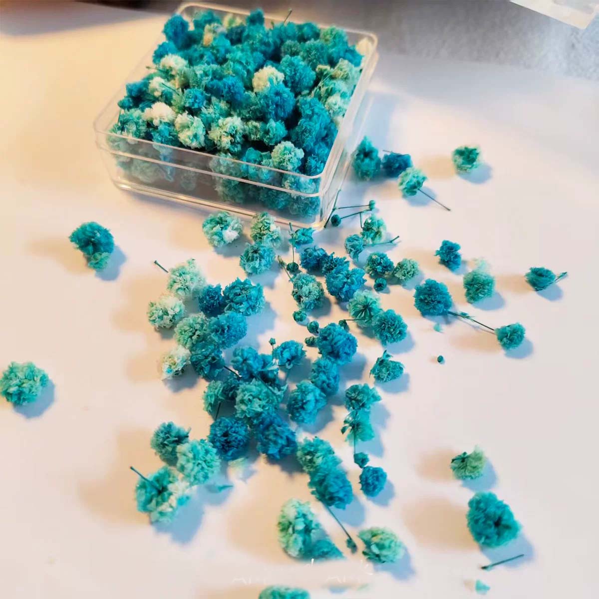 1 Box Flower Heads for DIY Han - Soap Making Books 评论和价格