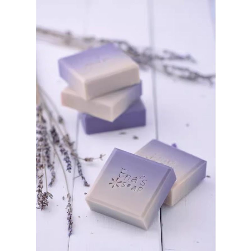 DIY Scented Soap Making Book w - Soap Making Books 评论和价格