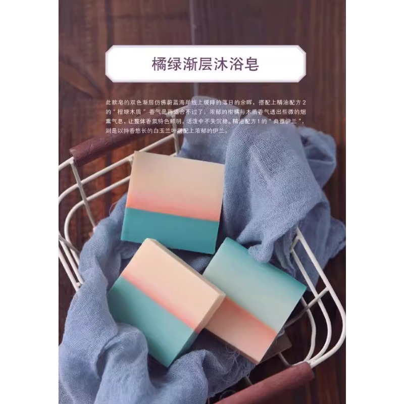DIY Scented Soap Making Book w - Soap Making Books 评论和价格